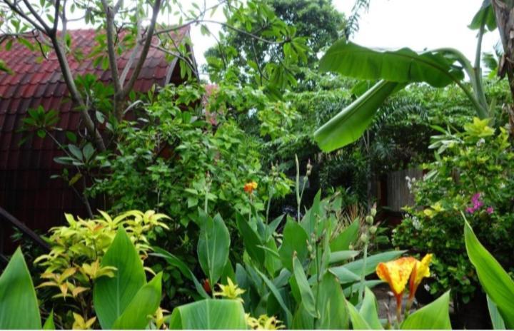 Banana Leaf Bungalow Gili Trawangan Luaran gambar