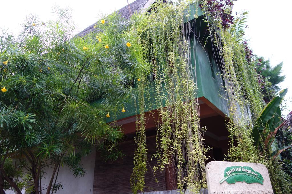Banana Leaf Bungalow Gili Trawangan Luaran gambar