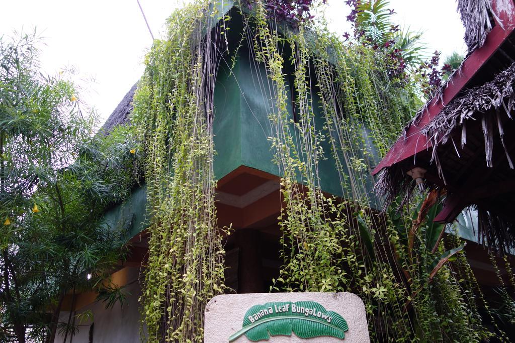 Banana Leaf Bungalow Gili Trawangan Luaran gambar