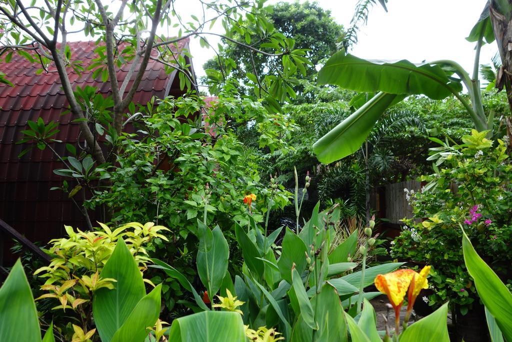 Banana Leaf Bungalow Gili Trawangan Luaran gambar